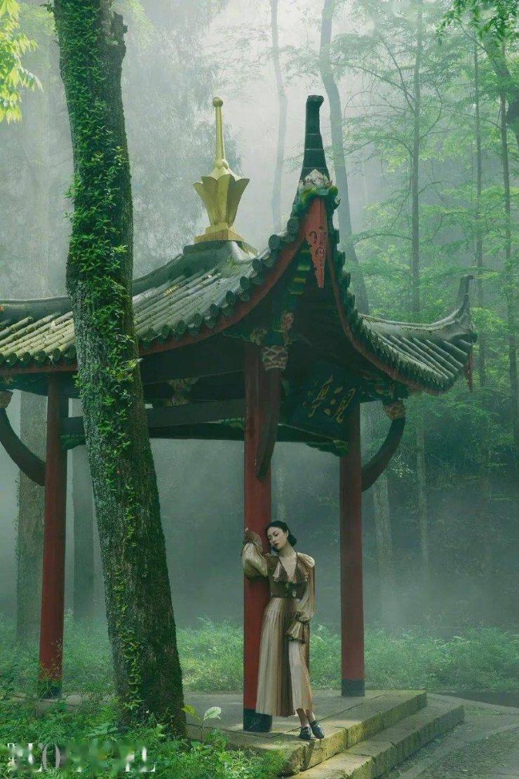 诺贝尔经济学奖得主是中国功夫迷,他为何如此喜欢中国功夫?红迪网—最新、最热门的讨论和分享社区
